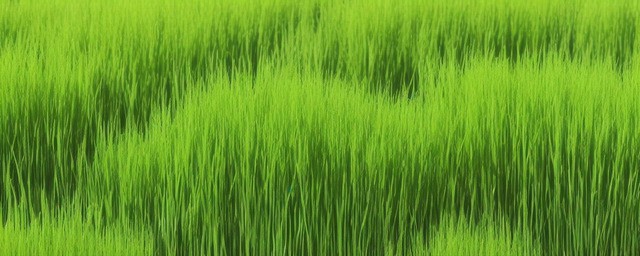 青龙草多久浇一次水