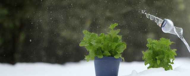 冬天室外多久浇一次水
