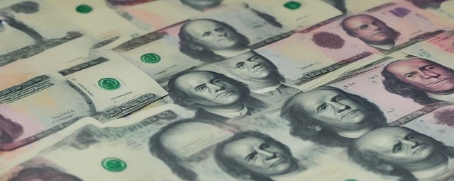 金钱多久浇一次水