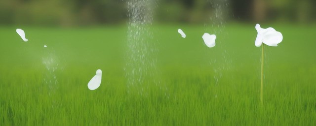 风顺多久浇一次水