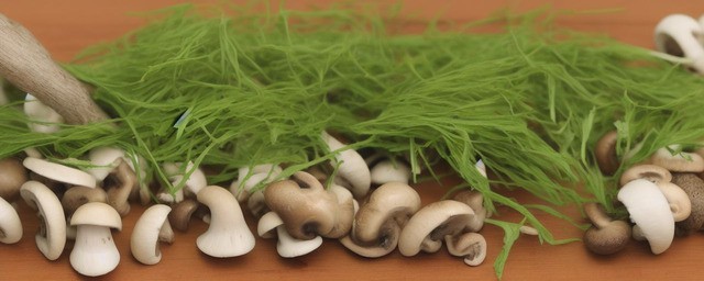 新鲜茶树菇如何洗