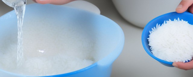 月季淘米水多久浇一次