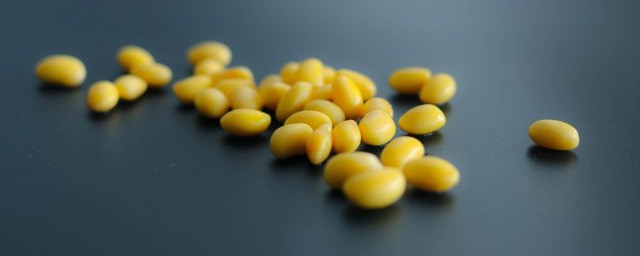 黄豆泡多久浇一次水