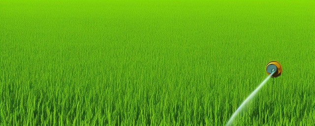 苞谷地多久浇一次水