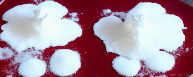 雪莲的做法大全简单又好吃
