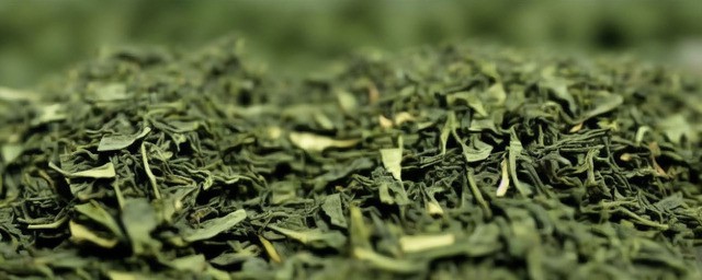 青岛的茶叶几月份采摘