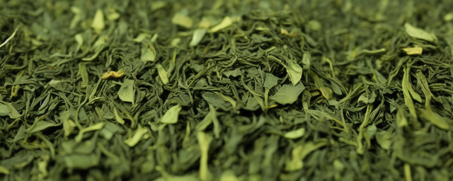 广西茶叶几月份采摘