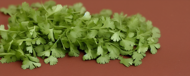 香菜用什么药最旺