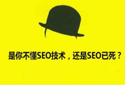 百度会越来越有发展 SEO行业会越来越兴起 不信您看！
