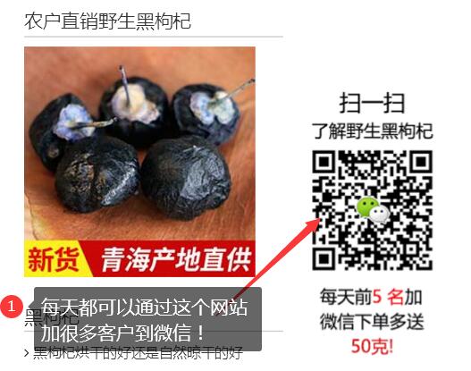 学会网站SEO都可以做什么 