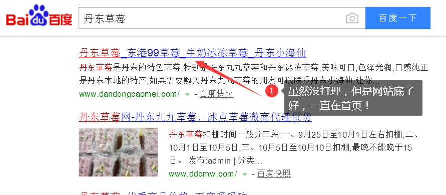 学会网站SEO都可以做什么 