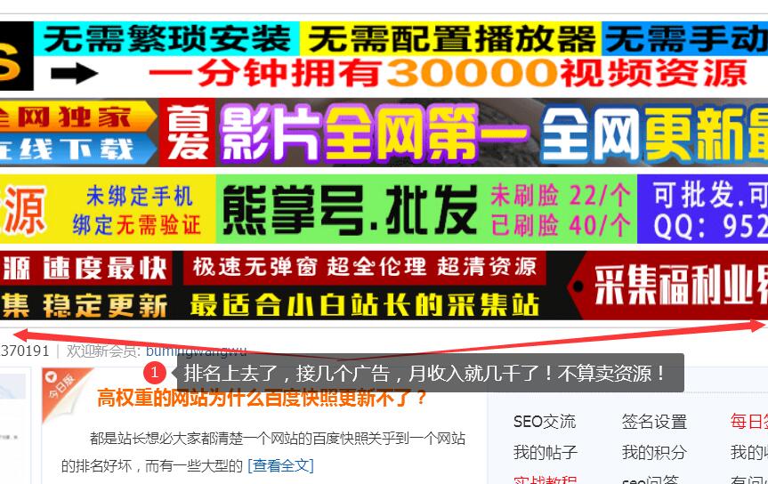 网站SEO学会后如何进行盈利 