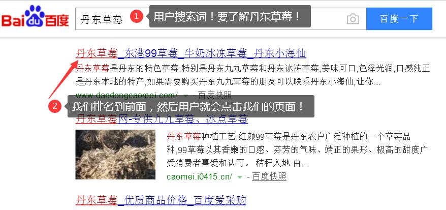 网站SEO优化是什么 