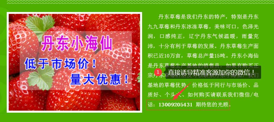 网站SEO优化是什么 