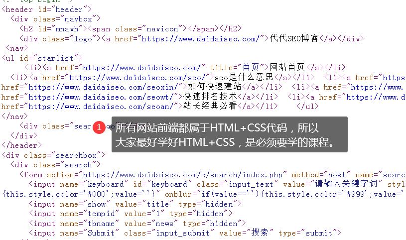 新手零基础可以学会网站SEO么 
