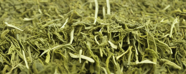 绿茶几月份可以采摘了