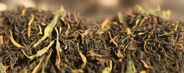 茶耳几月份采摘