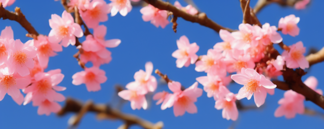 什么卦象招桃花最旺运呢