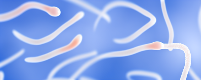 试管婴儿怎么取精子