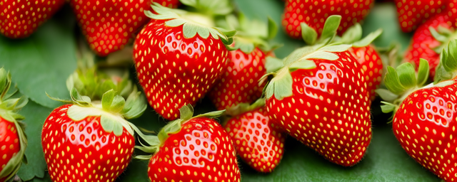 长势最旺的草莓品种是什么