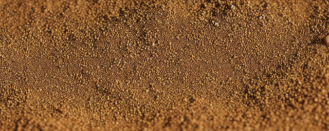 钩藤种子几月份采摘 钩藤种子几月份采摘