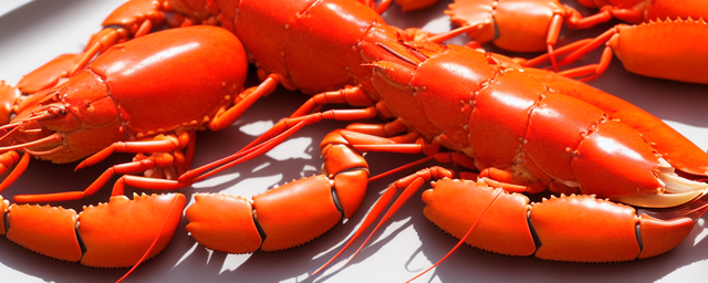 吃龙虾咋样才能吃得快些