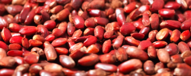 红枣枸杞红参泡水喝的功效