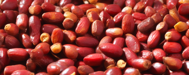 红枣枸杞柠檬泡水喝的功效