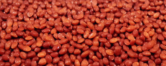 酸枣仁泡水喝能治失眠