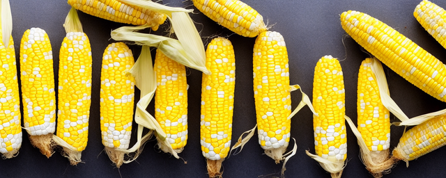 玉米段煮熟需要多久才能吃 玉米段煮熟需要多久才能吃