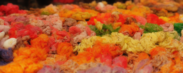 家里养什么好运气最旺