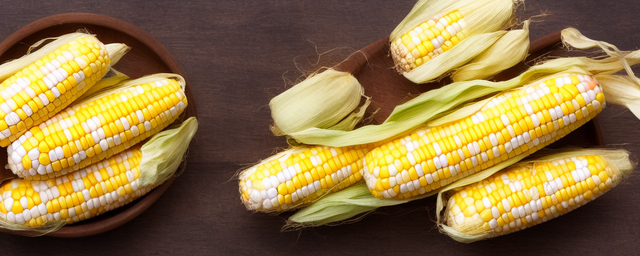 玉米须如何泡水喝