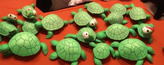 什么人养龟财运最旺