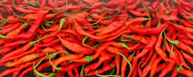 循化辣椒几月份采摘 循化辣椒几月份采摘