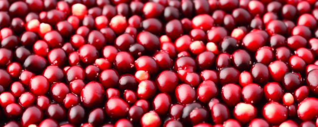 蔓越莓上火还是降火 蔓越莓上火还是降火