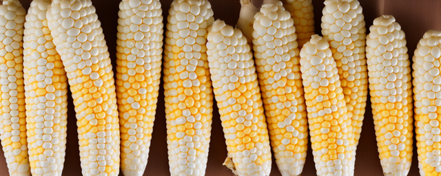 怎样判断鸡眼完全清除