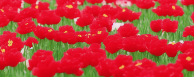 属狗人什么花最旺财运呢