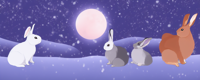 冬月男兔财运什么方位最旺