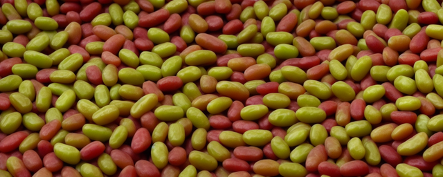 青枣上火还是降火