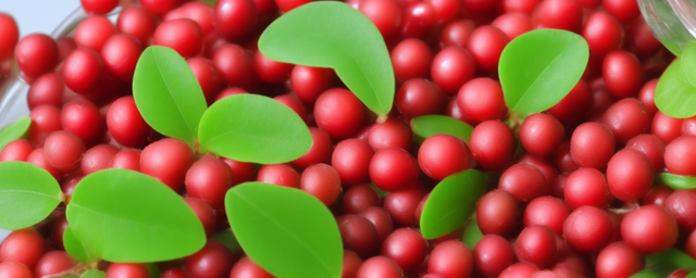 枸杞桂圆泡水喝有什么好处