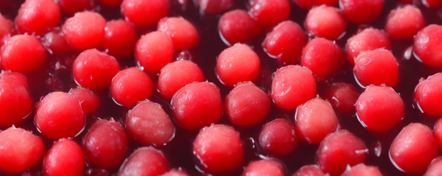 枸杞泡水什么时候喝最好 枸杞泡水什么时候喝最好