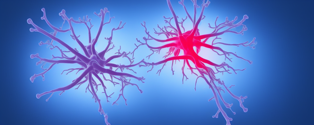 球蛋白偏低的原因及危害 球蛋白偏低的原因及危害