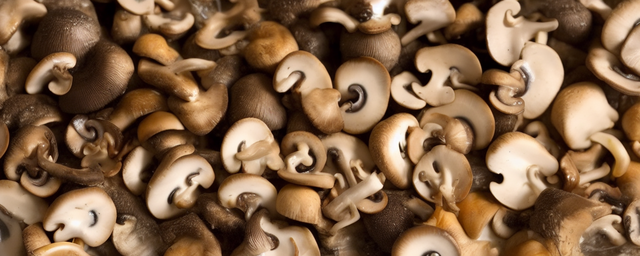 香菇能不能配海带一起吃 香菇能不能配海带一起吃