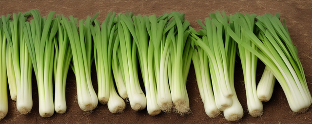 秋大葱什么时间生长最旺 秋大葱什么时间生长最旺