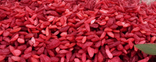 青海几月份采摘枸杞好吃 青海几月份采摘枸杞好吃