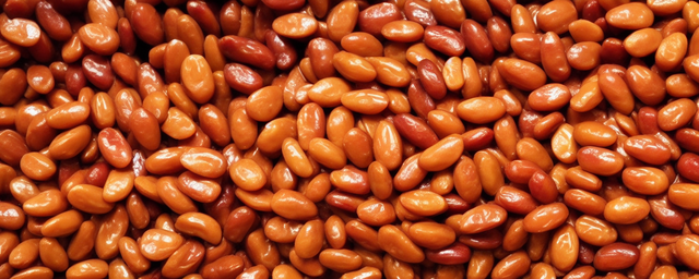 熟枣仁不能跟什么一起煮啊