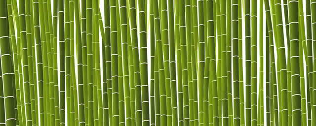 风尾竹什么季节最旺活