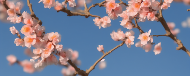 什么桃花最旺财气女人旺夫