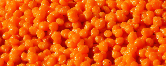 沙棘干果泡水喝功效