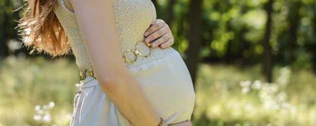 罗汉果泡水孕妇能喝吗 罗汉果泡水孕妇能喝吗